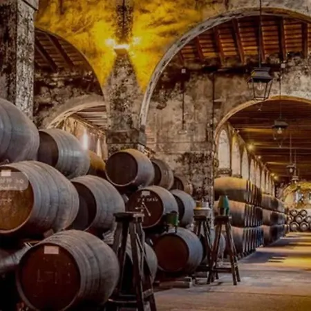 Bodegas De Cazon Barrio San Miguel *